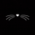 Whiskers