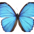 Lente19251003