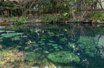Cenote