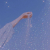 Sparkling