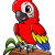 Mighty_Macaw